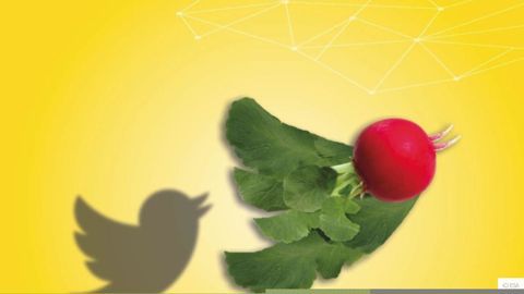 Quelle place pour l’agriculture et ses représentations dans l’espace public et plus particulièrement sur les réseaux sociaux ? Réponses le 5 novembre 2020. ©ESA